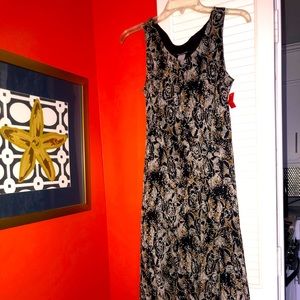 Jones New York Sleeveless Black Dress with Chocolate Accents